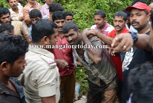 transporting cattle 1